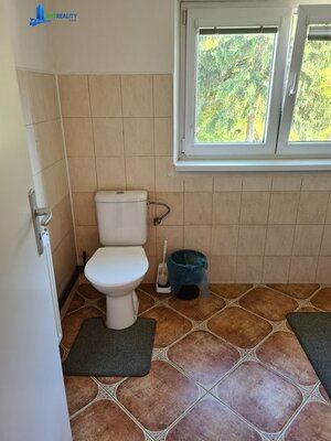 Zaujímavá väčšia nehnuteľnosť na bývanie, podnikanie, prípadne rekreáciu — foto 27
