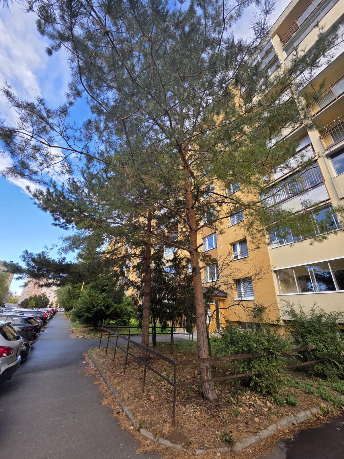3,5-izbový byt, Prešov — foto 15