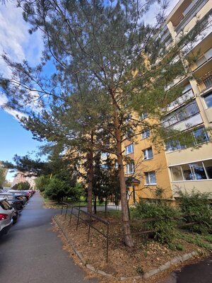 3,5-izbový byt, Prešov — foto 15