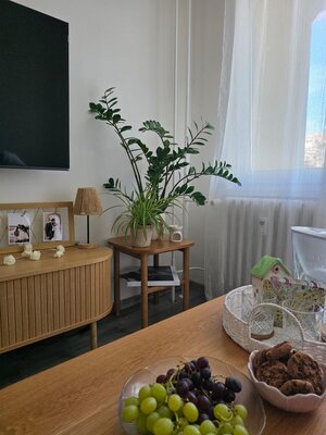 3-izbový, presvetlený, príjemný byt, Prešov - Sekčov - REZERVOVANÉ !!! — foto 23