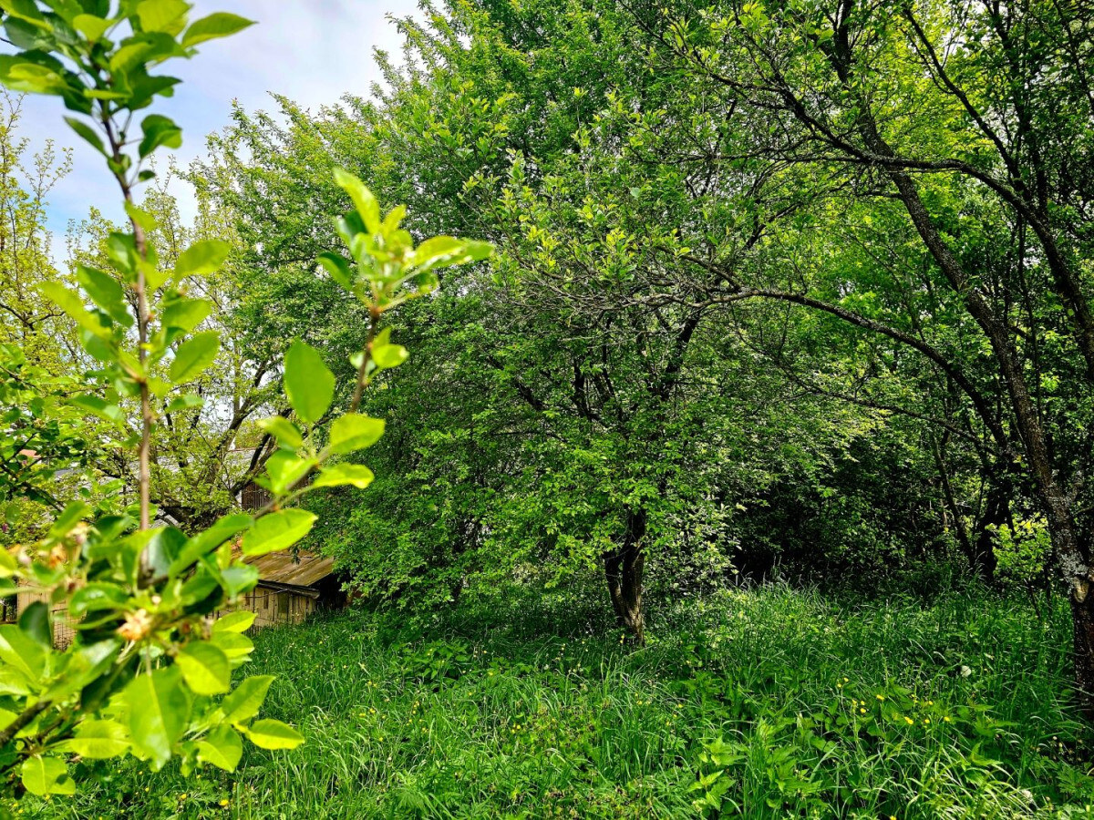 Veľkorysý pozemok na výstavbu Prešov, Solivar — foto 8