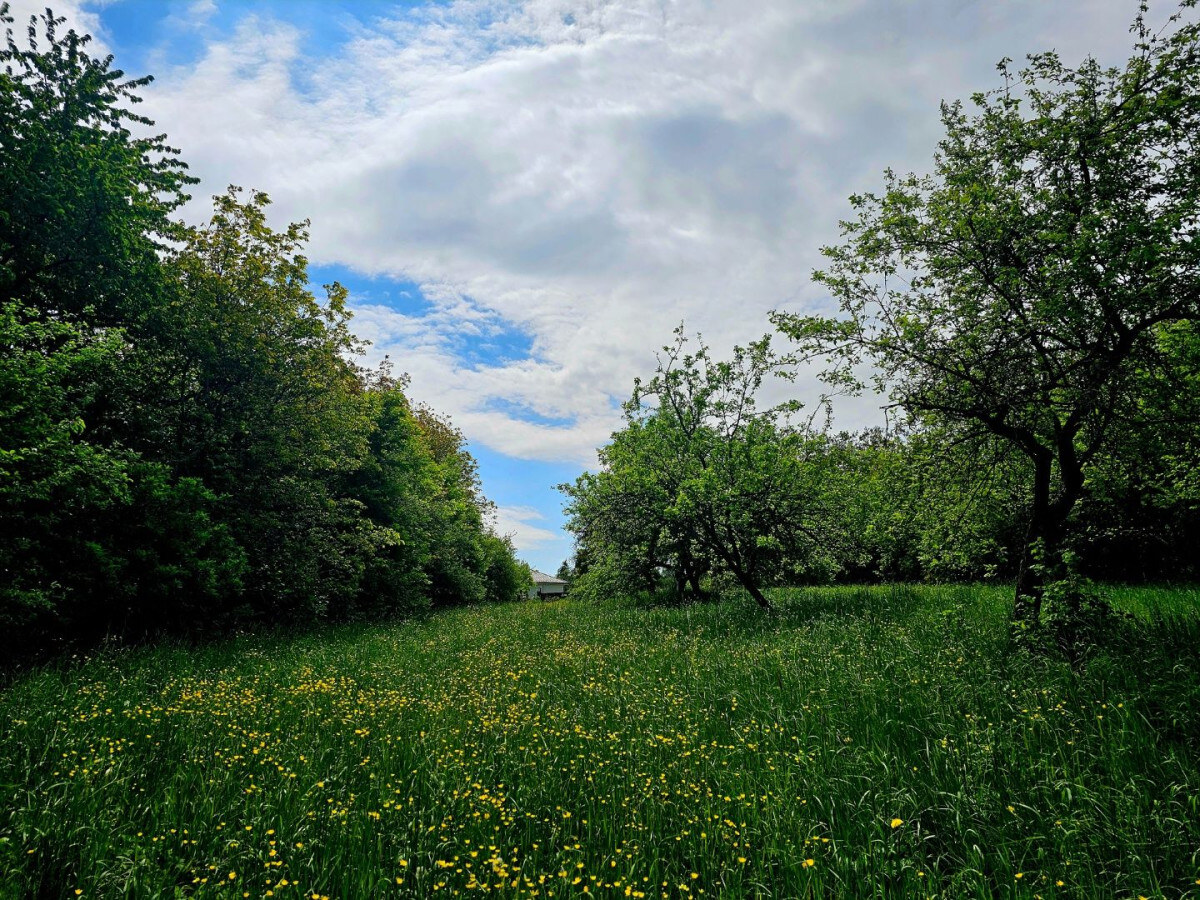 Veľkorysý pozemok na výstavbu Prešov, Solivar — foto 9