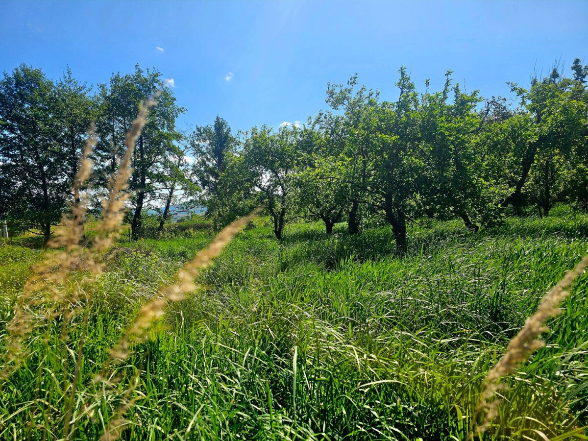 Pozemok na výstavbu, Kechnec, Košice — foto 3