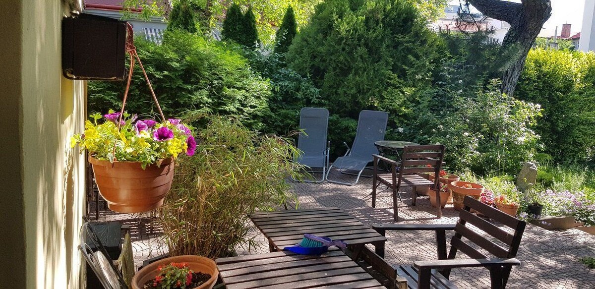 Investícia / Historický objekt v centre BA I, Starom Meste, v susedstve Blumentálskeho kostola — foto 7