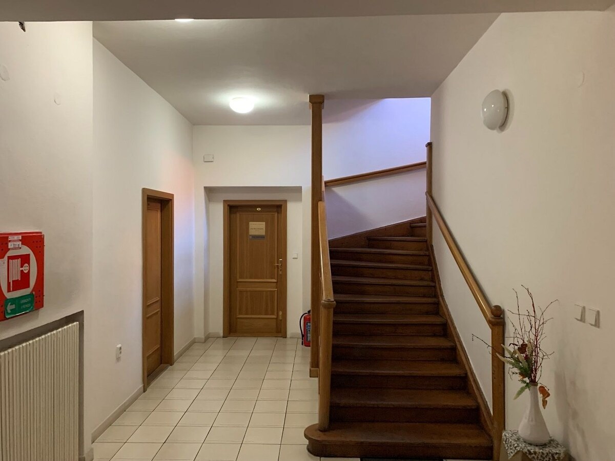 Vila  na Kmeťkovej ul. v centre Nitry - Starom Meste — foto 25