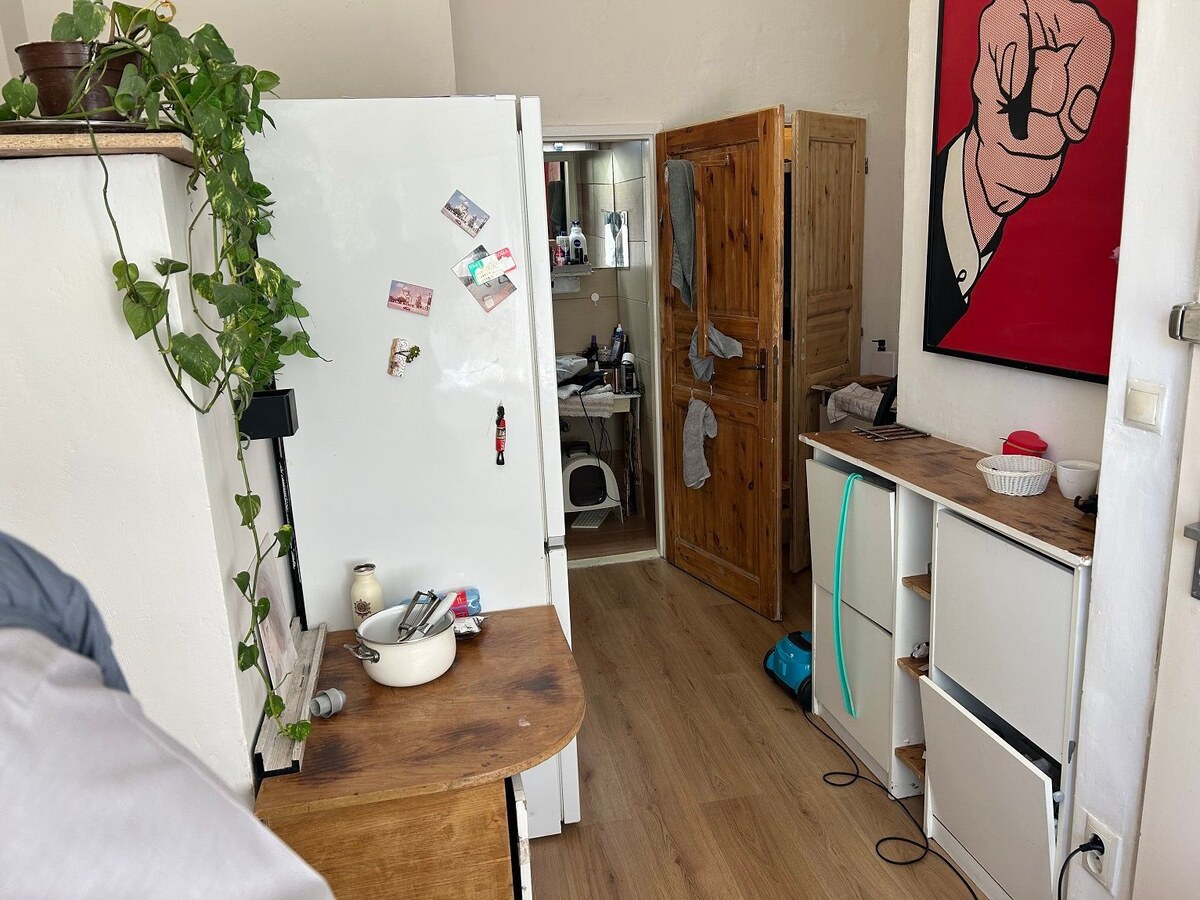 Nebytové priestory - kancelária plus apartmán, skladové priestory v centre Bratislavy (investícia) — foto 20