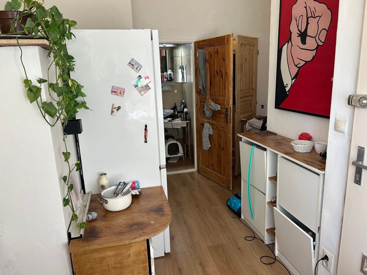 Nebytové priestory - kancelária plus apartmán, skladové priestory v centre Bratislavy (investícia) — foto 21