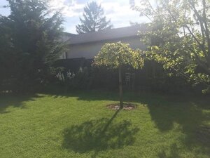 Ideálny stavebný pozemok v obci Miloslavov, Centrálna ulica — foto 2