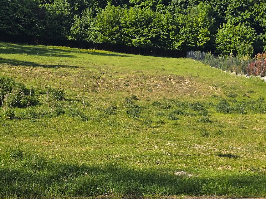Slnečný stavebný pozemok v Borinke pri Bratislave — foto 3