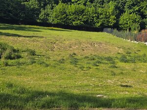 Slnečný stavebný pozemok v Borinke pri Bratislave — foto 3