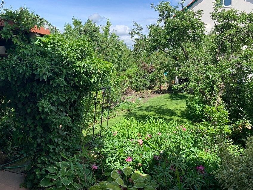 Rodinný dom v BA III, Nové Mesto, Ľudová štvrť, ul. Za kasárňou  — foto 18