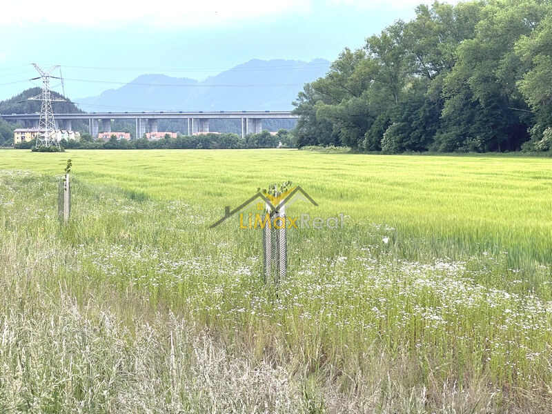 Rovinaté pozemky s IS v Liptovskom Mikuláši — foto 4