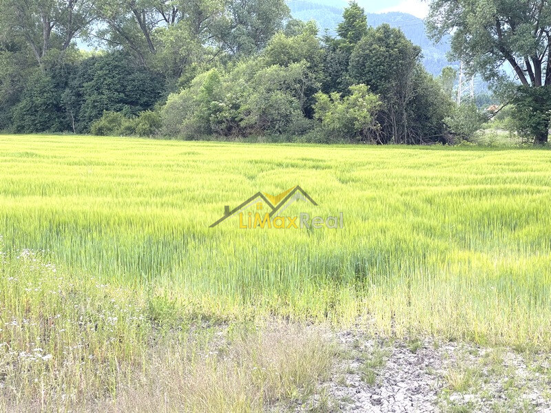 Rovinaté pozemky s IS v Liptovskom Mikuláši — foto 5