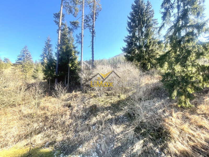 Zariadený apartmán s krásnym výhľadom pod horou v Demänovskej Doline — foto 29