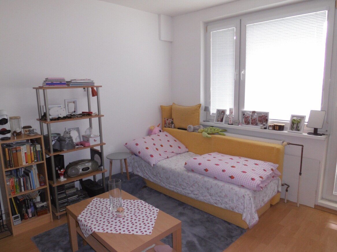 Predaj, 1 izbový byt, garsónka, Bratislava, Petržalka — foto 10