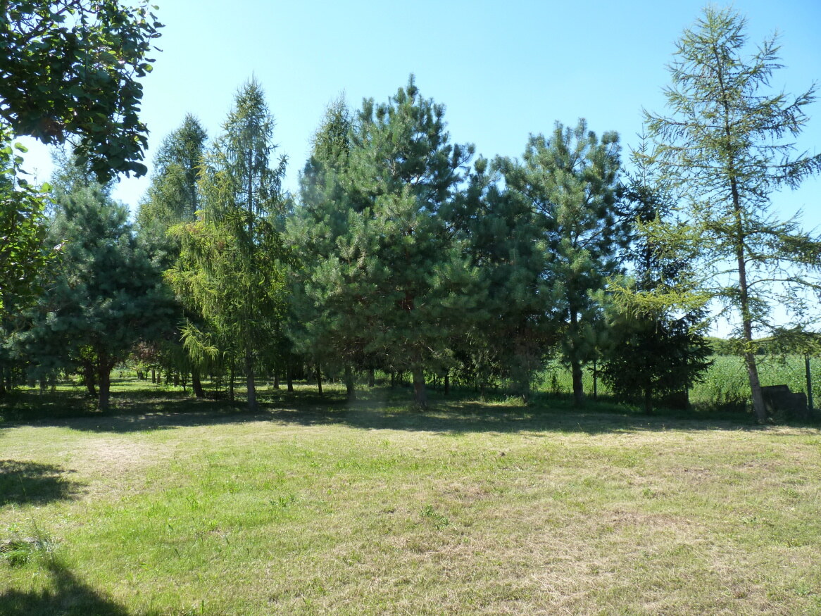 Predaj, dom, pozemok, usadlosť, Rastislavice — foto 15
