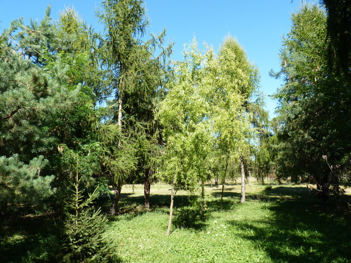 Predaj, dom, pozemok, usadlosť, Rastislavice — foto 17