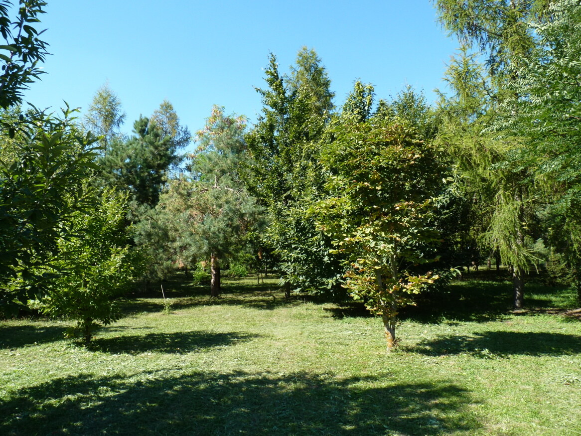 Predaj, dom, pozemok, usadlosť, Rastislavice — foto 18