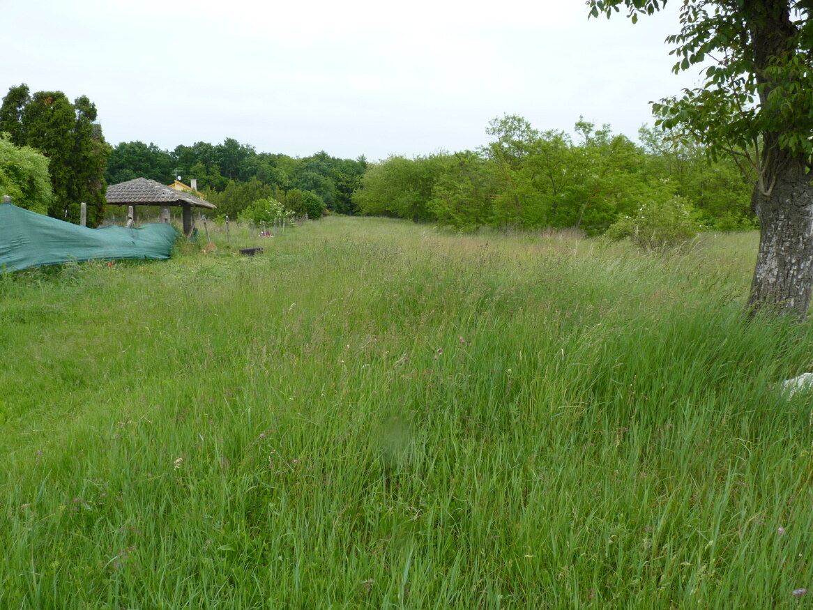 Predaj, pozemok, Marcelová — foto 2