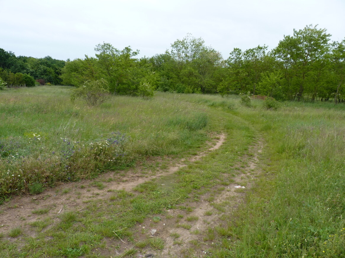 Predaj, pozemok, Marcelová — foto 3