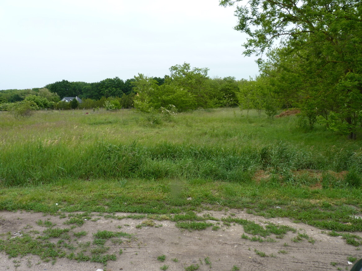 Predaj, pozemok, Marcelová — foto 5