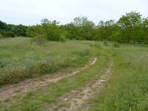 Predaj, pozemok, Marcelová — foto 3