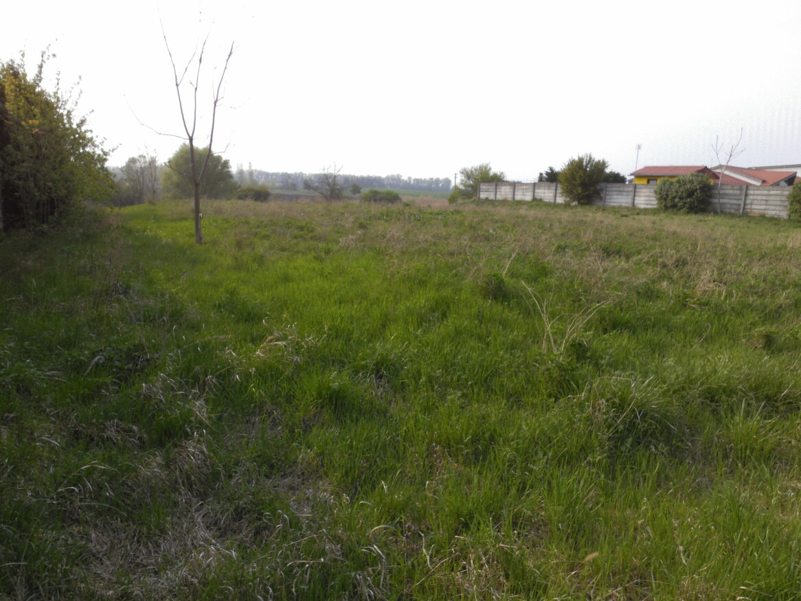 Predaj, stavebný pozemok, komerčný, Hurbanovo