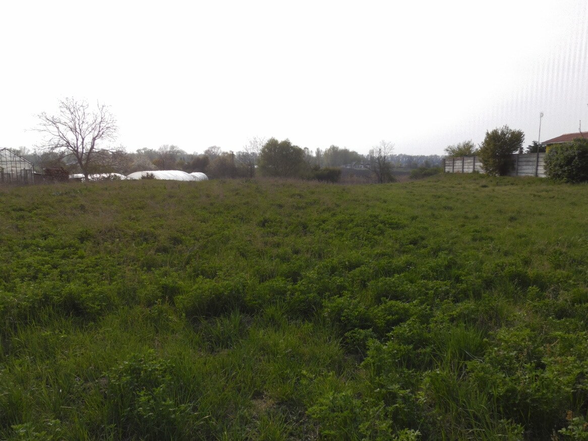 Predaj, stavebný pozemok, komerčný, Hurbanovo — foto 2