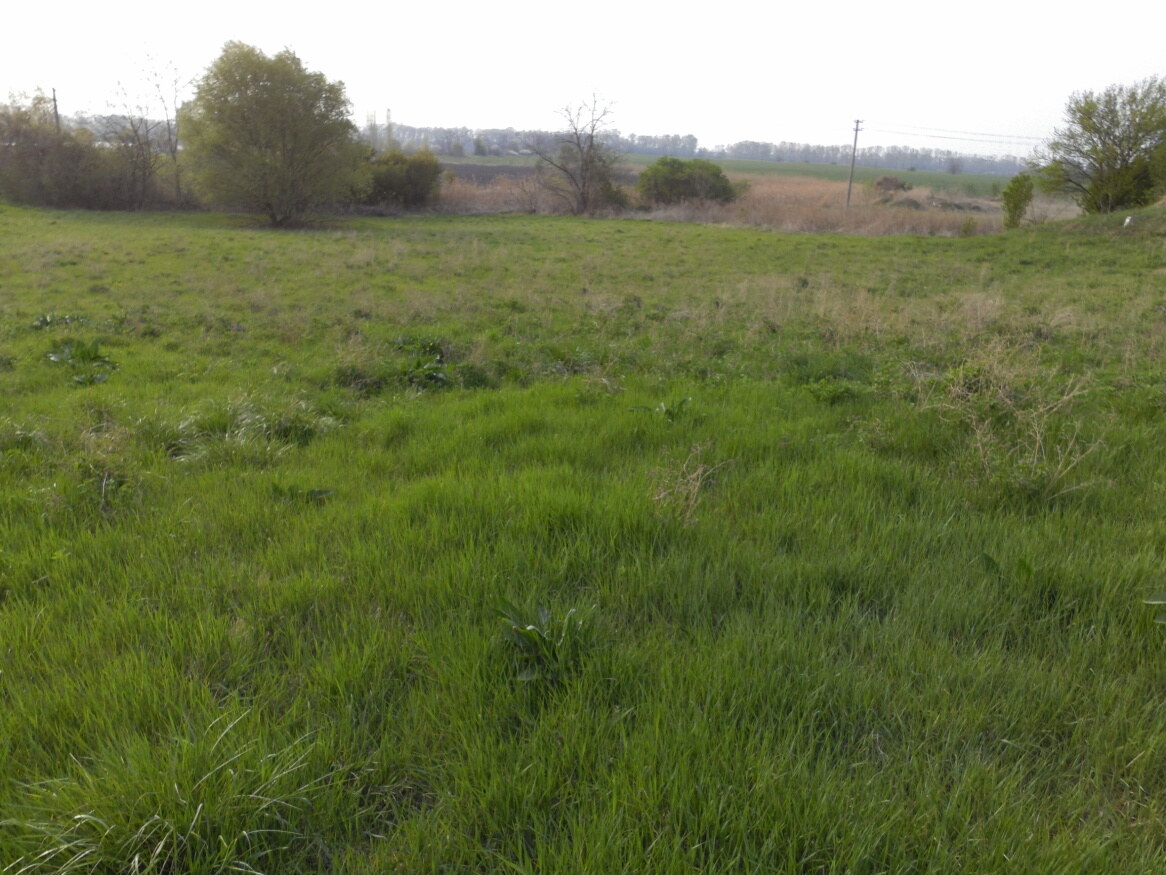 Predaj, stavebný pozemok, komerčný, Hurbanovo — foto 10