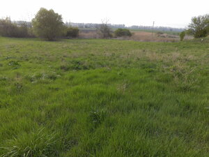 Predaj, stavebný pozemok, komerčný, Hurbanovo — foto 10