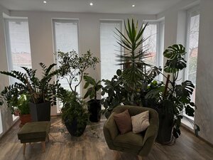 Veľký luxusný deväť izbový rodinný dom s veľkým pozemkom v Preseľanoch — foto 7