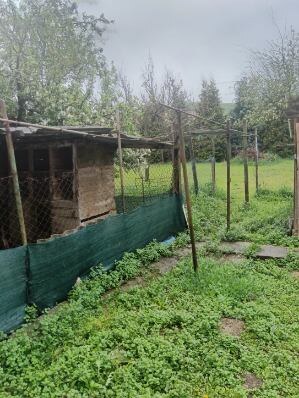 Na predaj rodinný dom Kosihovce znížená cena — foto 15