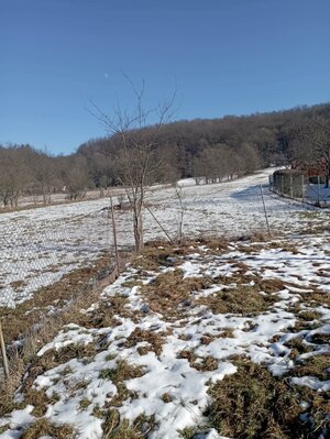 Dom v obci Ľuboriečka s veľkým pozemkom, — foto 19