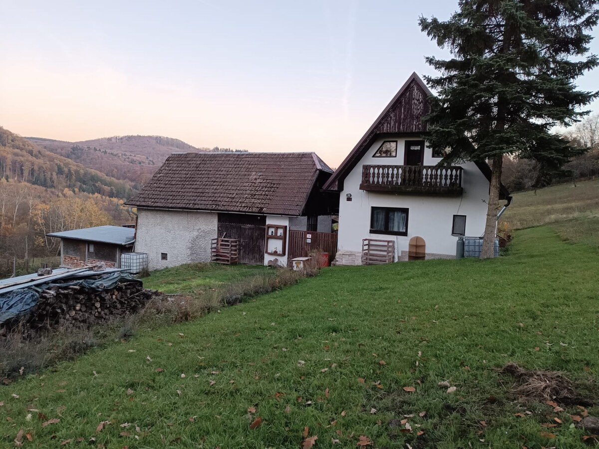 Samota Nová Baňa – Štále s hospodárskymi stavbami