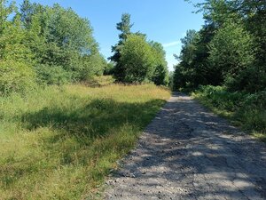 Na predaj pozemok v lese Hrabičov — foto 2