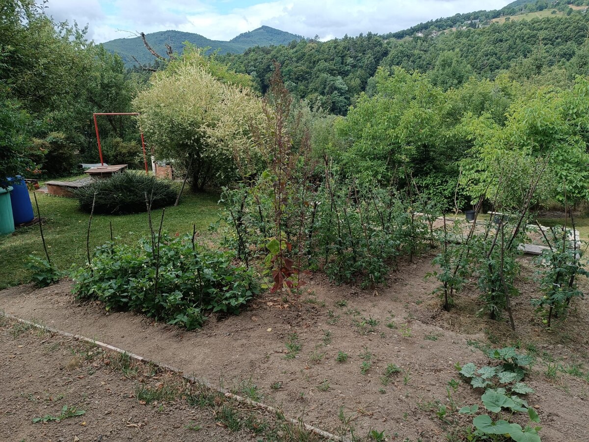 Dom so záhradou a ovocnými stromami na pokojnom mieste – Nová Baňa — foto 18