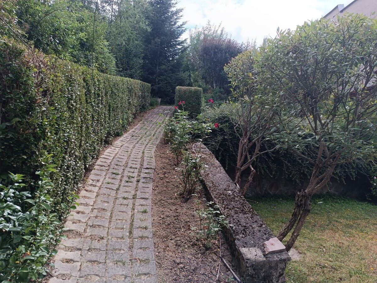 Dom so záhradou a ovocnými stromami na pokojnom mieste – Nová Baňa — foto 19