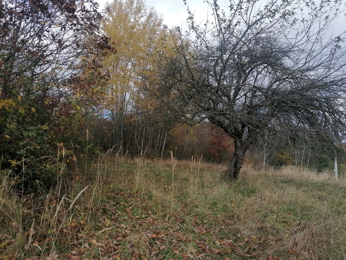 Rekreačný pozemok pri potôčiku — foto 2