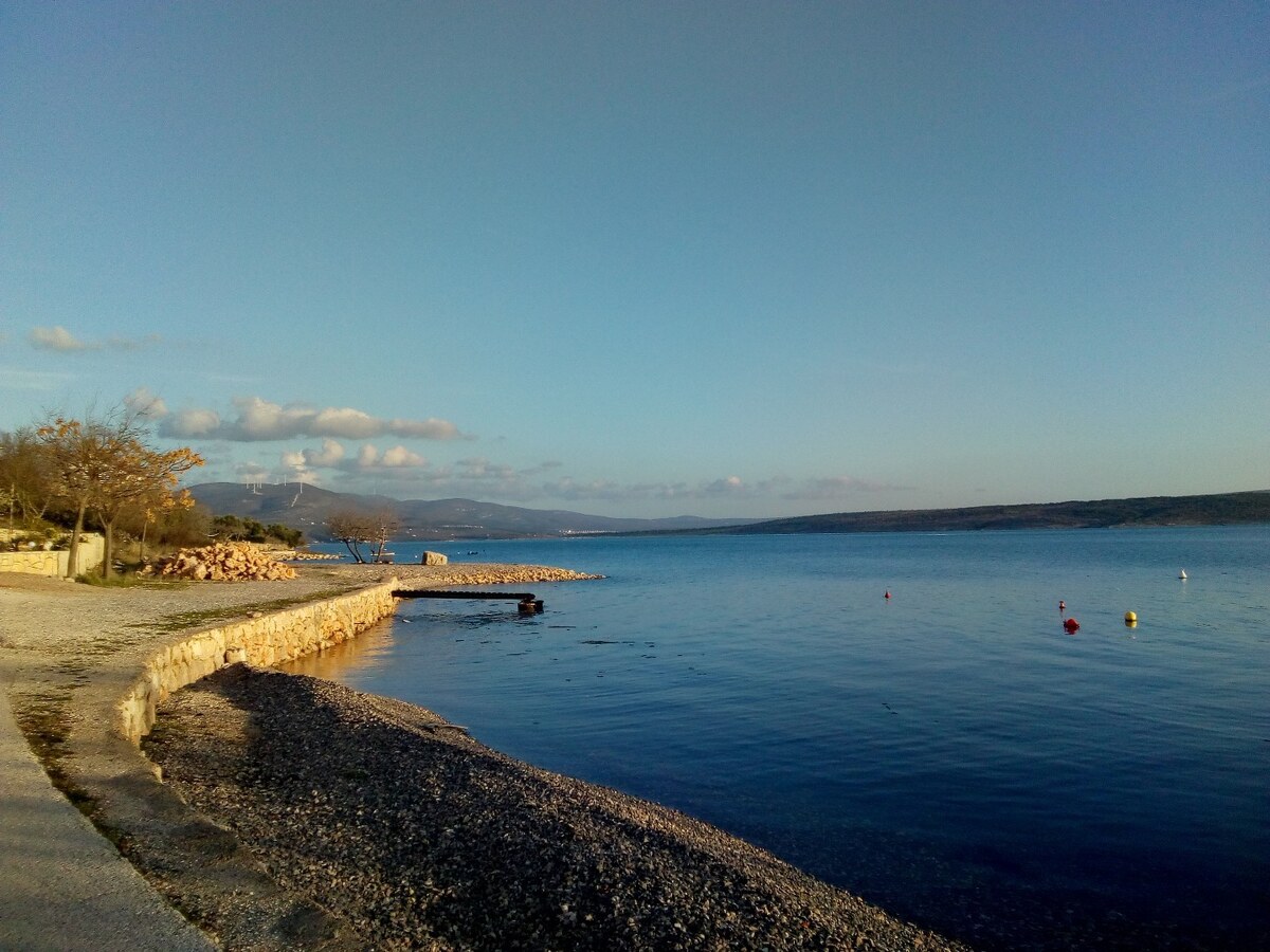 STAVEBNÍ PARCELA - MASLENICA — foto 7