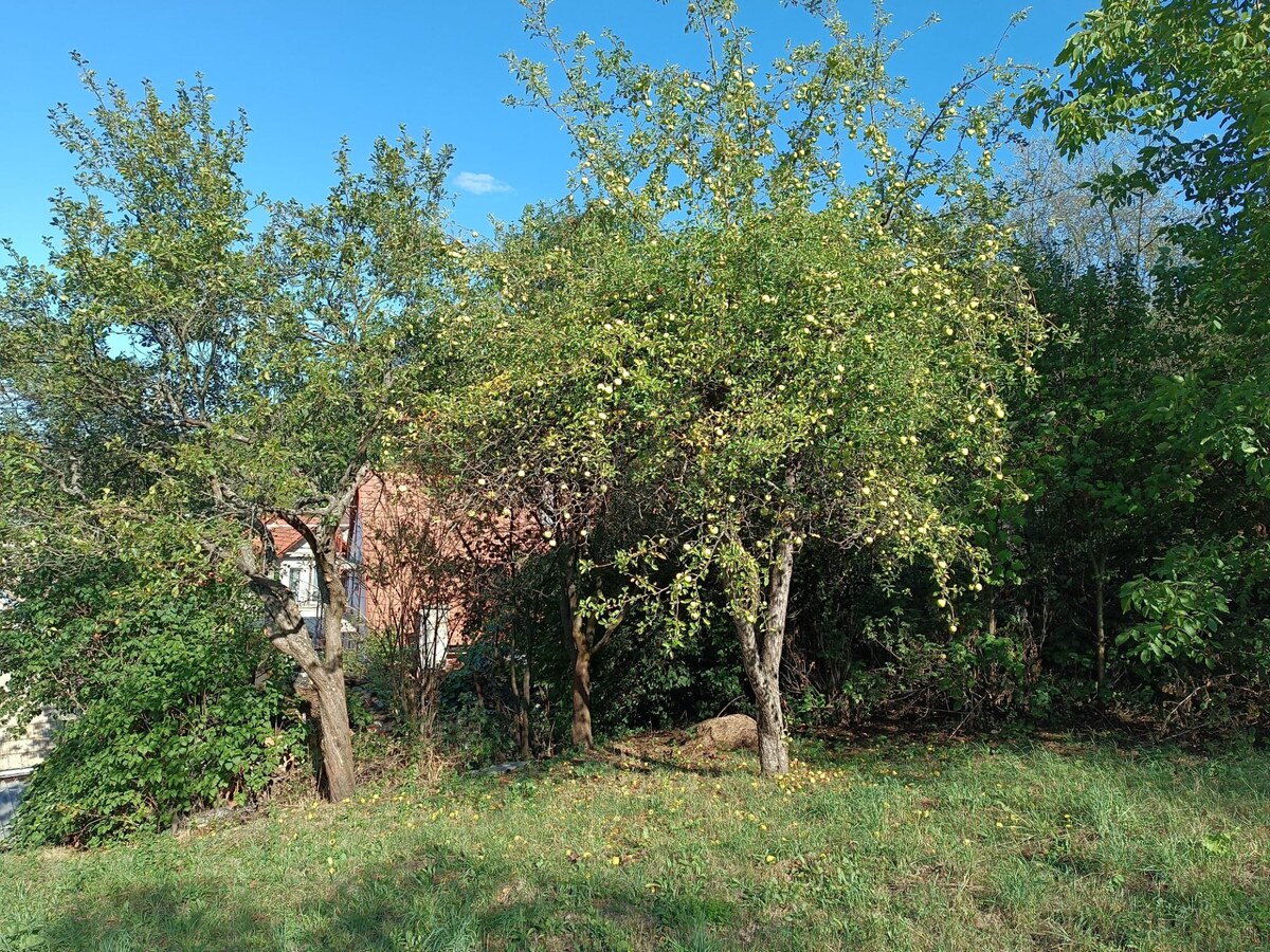 NA PREDAJ  RODINNÝ DOM  V OBCI BREHY — foto 18