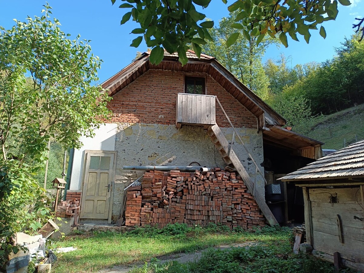 VEĽKÝ POZEMOK 2 321 m² | STARŠÍ DOM | ŽARNOVICA – LUKAVICA — foto 4