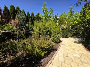 DOM V HANISKE PRI KOŠICIACH | 4 IZBY | 125 m² | POZEMOK 774 m² — foto 20