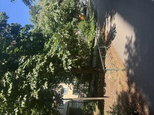 NA PREDAJ_1 izbák_41 m2_Braniskova ul._"KUZMÁNKA"_KOŠICE — foto 12