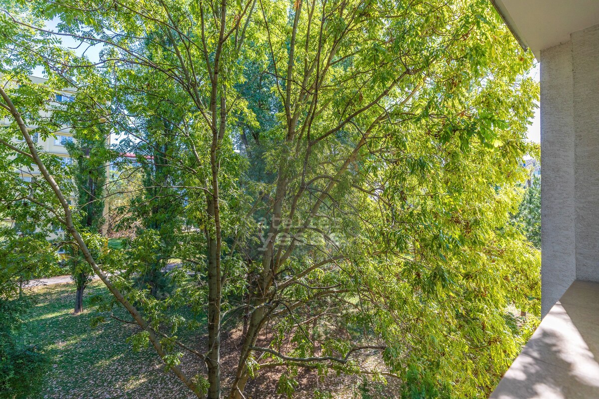 YESSS - Priestranný, kompletne zrekonštruovaný 3-izbový byt s lodžiou a balkónom v pokojnej časti Ružinova – Exnárova ulica — foto 29