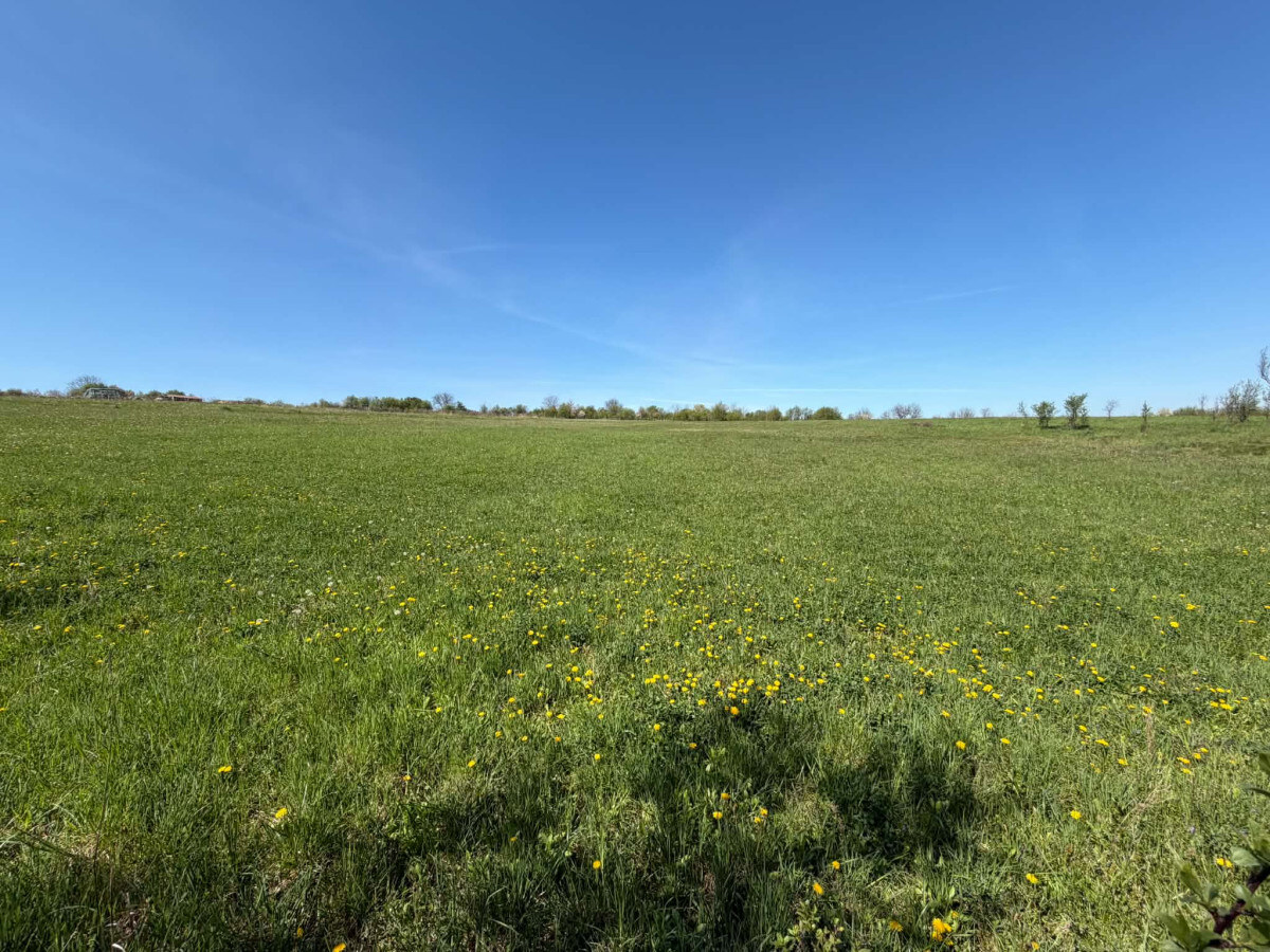NA PREDAJ _ RD _ pozemok 6700m²_ Felsőtelekes Maďarsko — foto 7