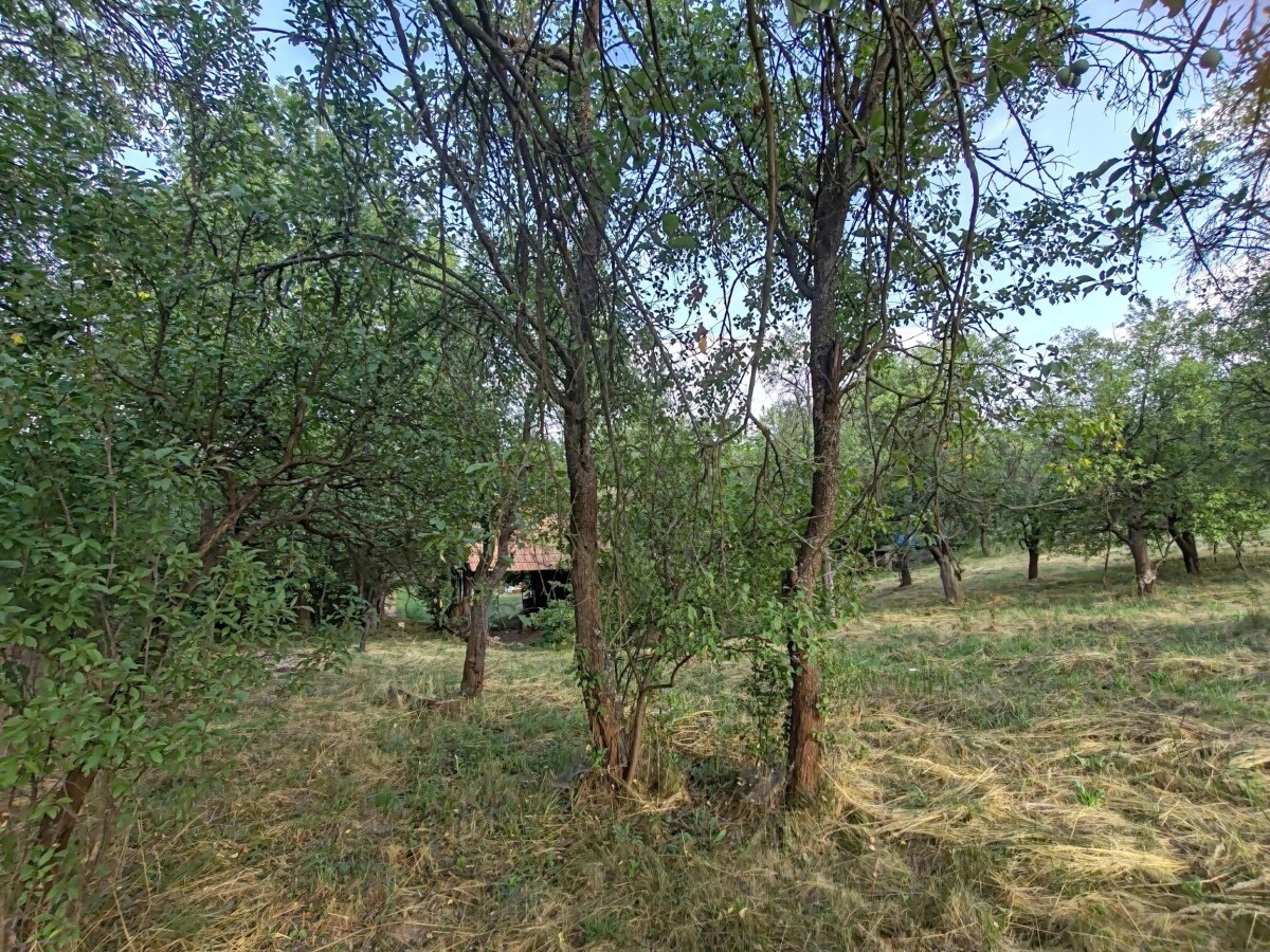 NA PREDAJ _ RD _ pozemok 6700m²_ Felsőtelekes Maďarsko — foto 13