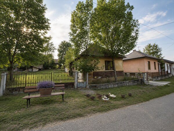 NA PREDAJ _ RD _ pozemok 6700m²_ Felsőtelekes Maďarsko