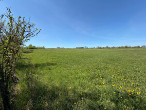 NA PREDAJ _ RD _ pozemok 6700m²_ Felsőtelekes Maďarsko — foto 2