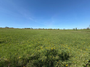 NA PREDAJ _ RD _ pozemok 6700m²_ Felsőtelekes Maďarsko — foto 7