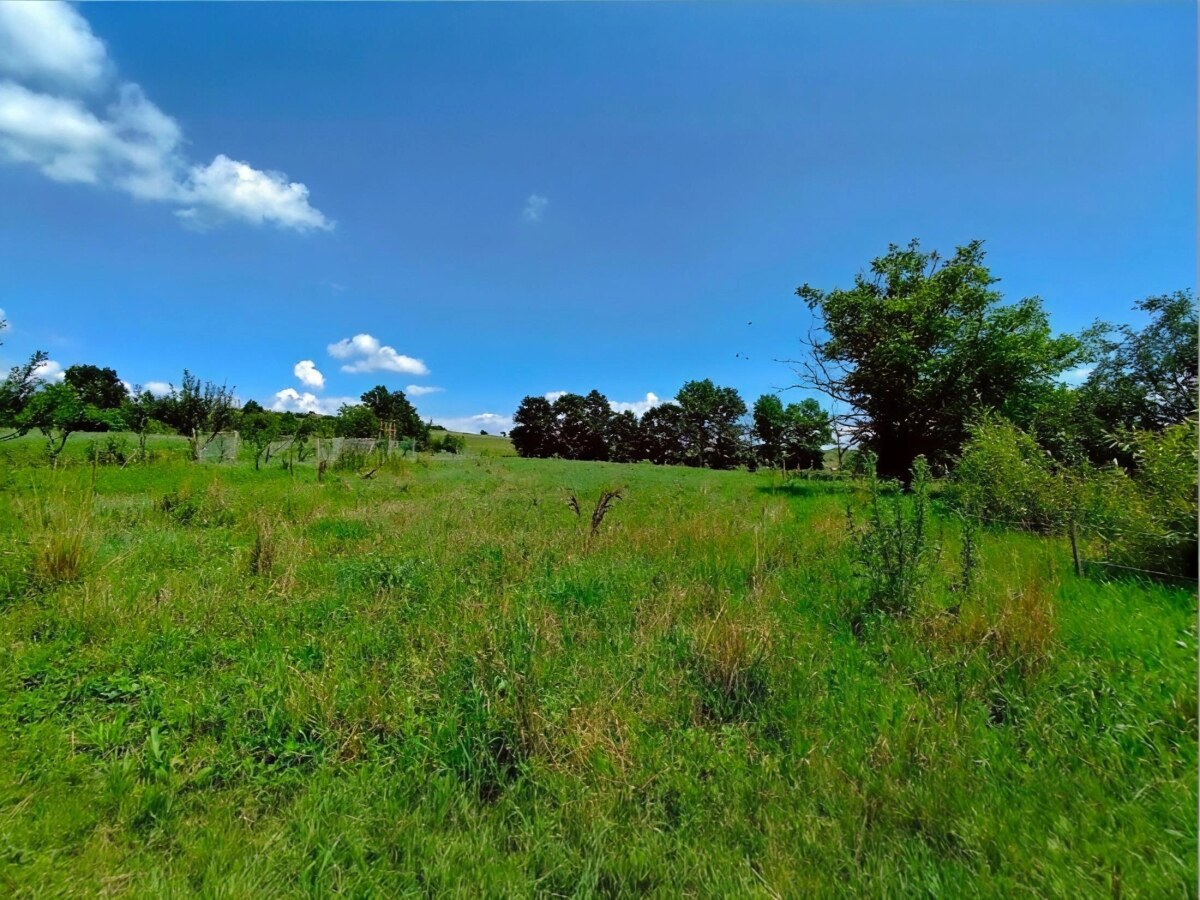 NA PREDAJ _ dva domy _ 73m² a 41m² _  pozemok 3000m²_Szőlősardó — foto 22